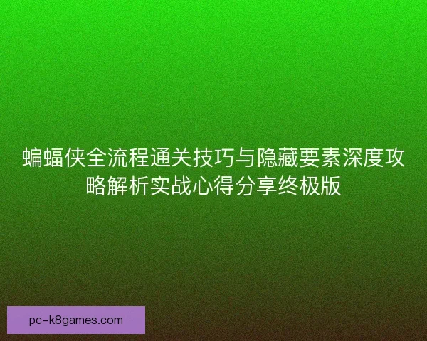蝙蝠侠全流程通关技巧与隐藏要素深度攻略解析实战心得分享终极版